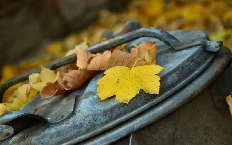 WASH AND DISINFECT WASTEBASKETS & GARBAGE CANS