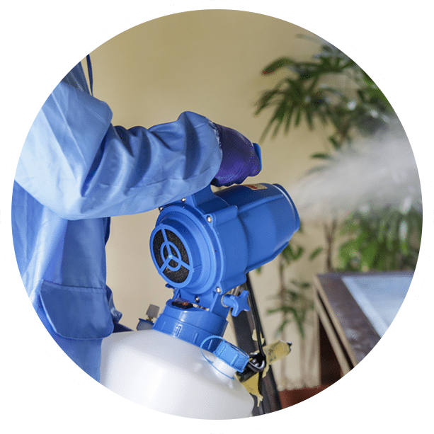 Professional cleaner in blue safety suit using electrostatic fogging machine