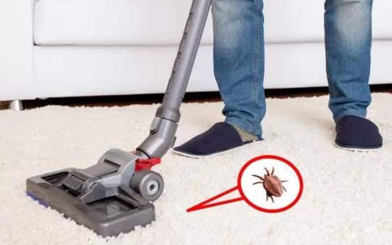 Professional Cleaning Services vacuuming the carpet