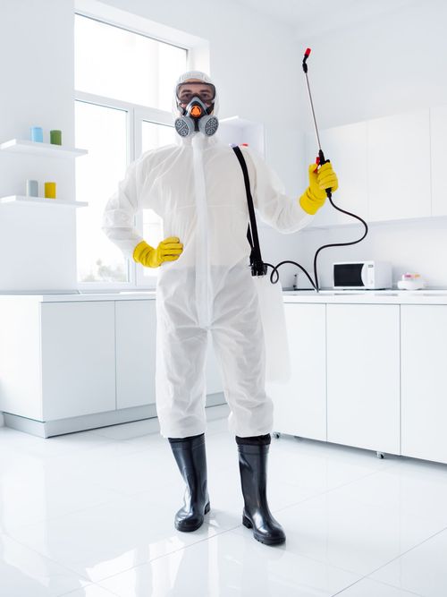 Domestic engineer wearing full protective gear and disinfectant spray pack