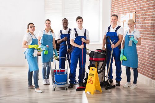 Team of young professional cleaners with cleaning supplies