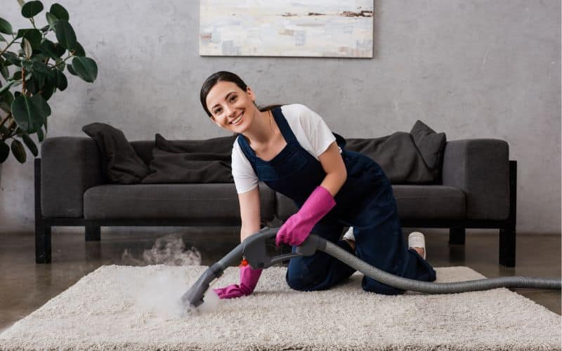STEAM CLEANING SAFE FOR CARPETS